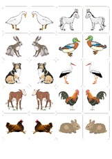 Memo-Spiel Haustiere-Bild 1.pdf